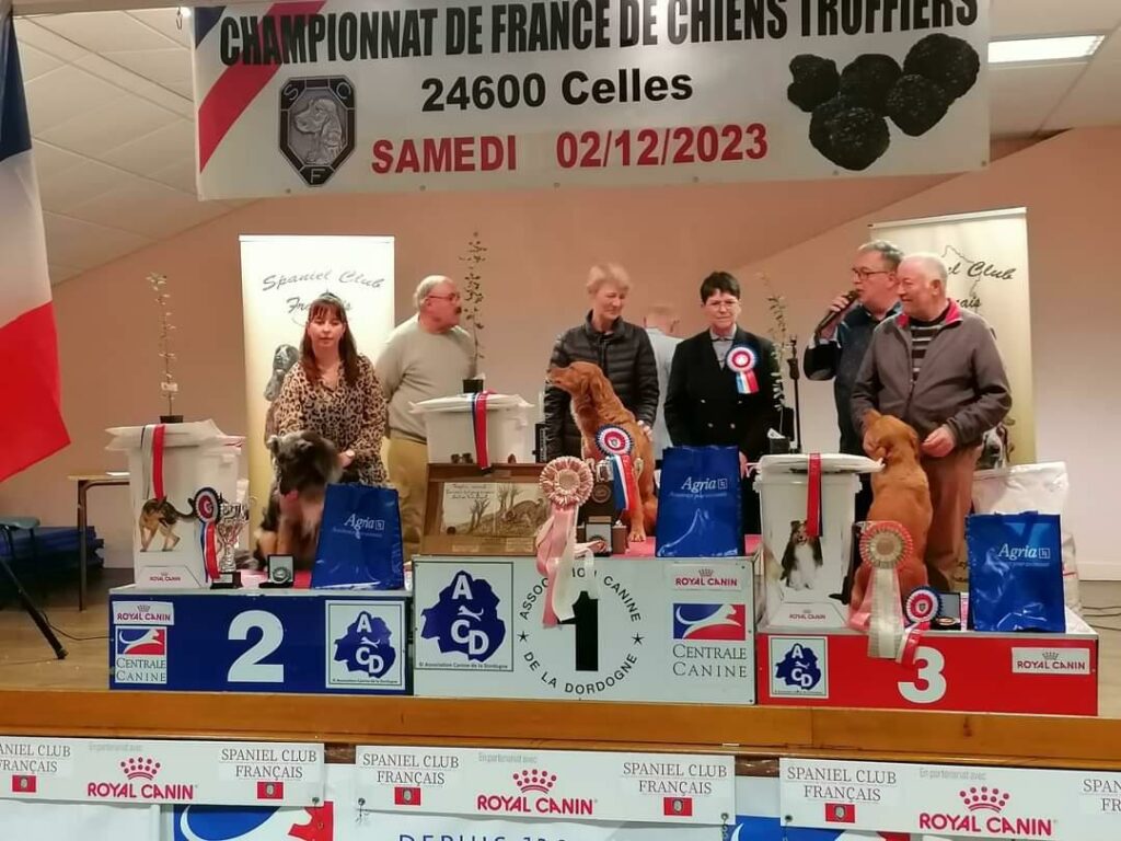 Remise des prix