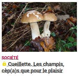 Journa du Médoc 27 septembre 204 Les Champis