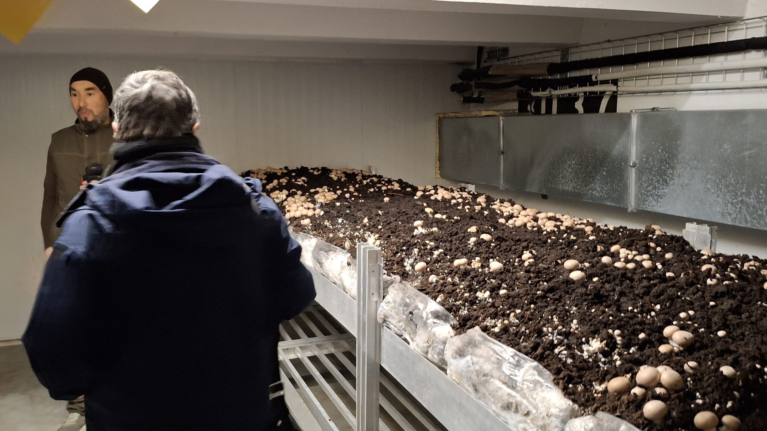 Lormont cave agricole